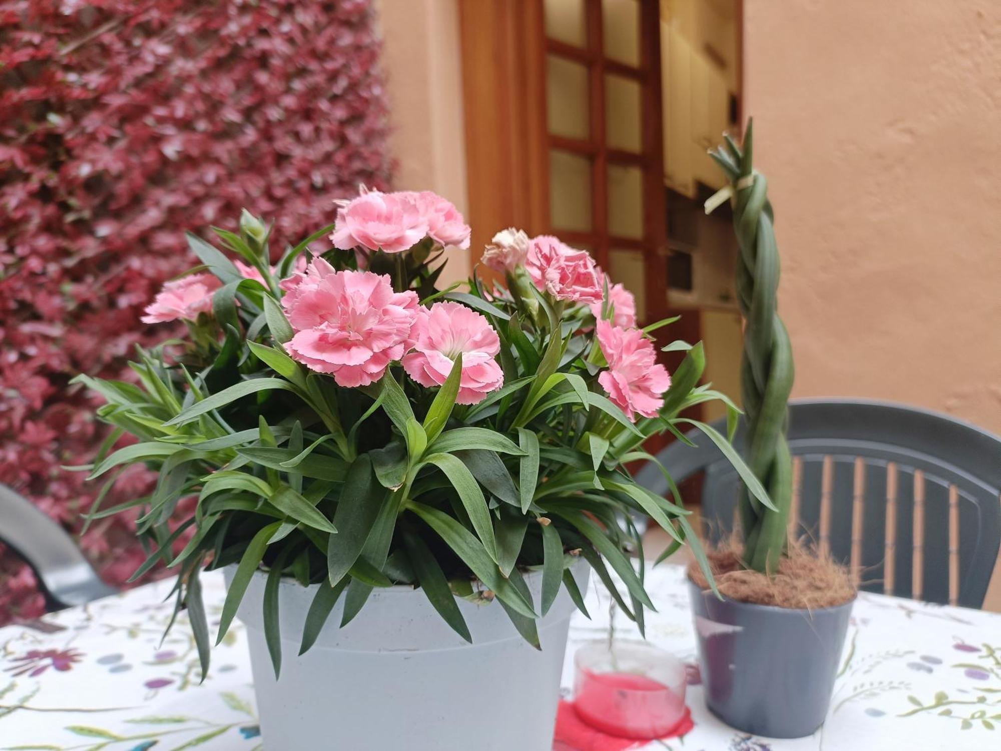 Il Giardino Segreto Appartement Lucca Buitenkant foto